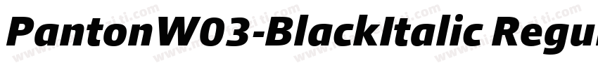 PantonW03-BlackItalic Regular字体转换
